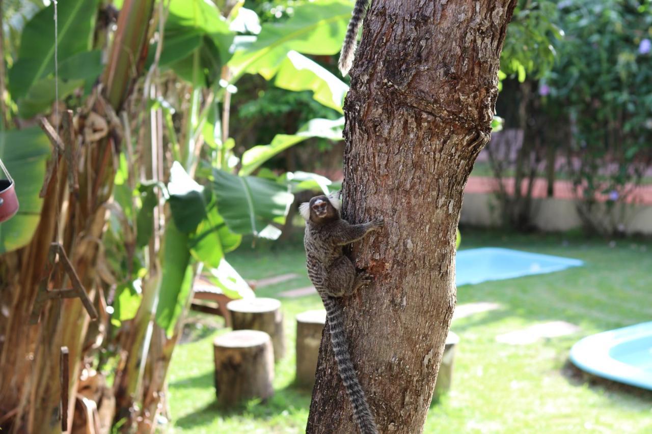 Albacora Eco Residence インバサイ エクステリア 写真